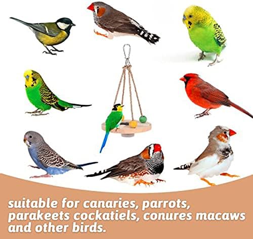 Copo de alimentação de pássaros, alimentador de papagaio pendurado multiuso para pássaros com baúzes