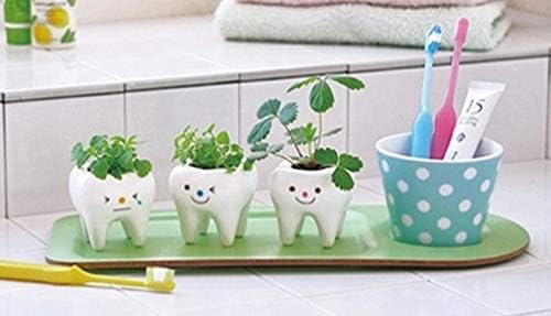 Monmob pack de 3 mini vasos de plantas de cerâmica em forma de dentes em forma de preços de dentes suculentos para adultos crianças