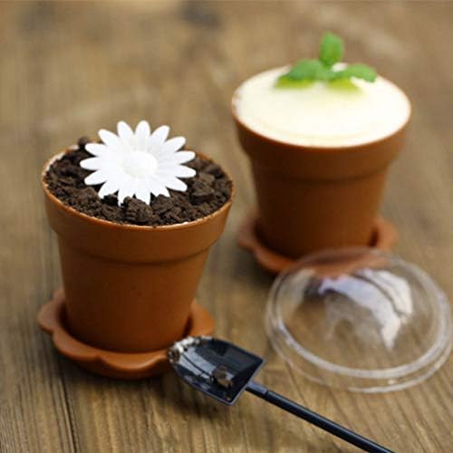 Copas de flores do Doitool 30pcs Cupcakes Plant Bursery Pots com umidade Planting Recipientes de cúpula xícaras com colher
