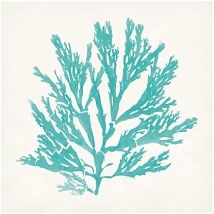 Marca registrada Bine Art 'Pacific Sea Mosses I Aqua' Arte de tela por portfólio de maçã selvagem 18x18