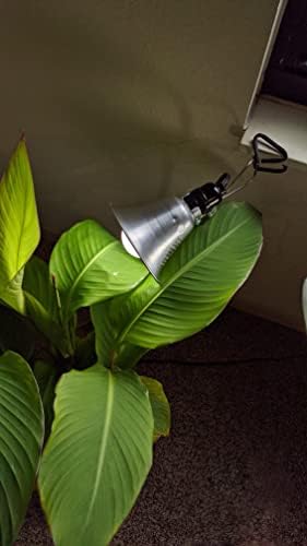 Fixamento de lâmpada LED milagrosa para lâmpadas LED com alta tração versátil aperto de aperto, preto, 4 pacote