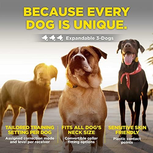 Dogtra Cue E -colar de treinamento remoto para cães para cães pequenos, médios e grandes - variação de 400 jardas, ecollar