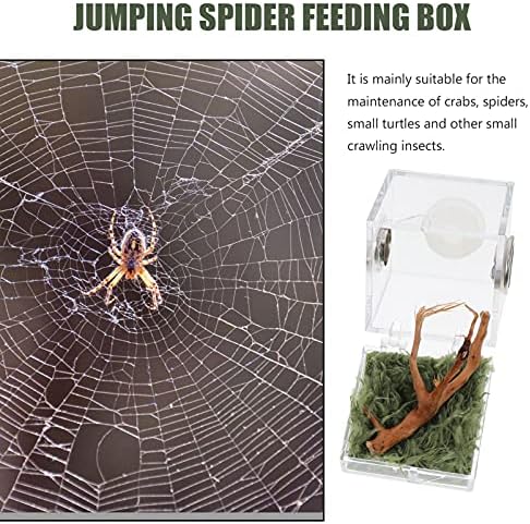 Alipis Clear recipiente salto de aranha Spider Spider Box Caixa de habitat Tanque de criação de aquário de aquário de