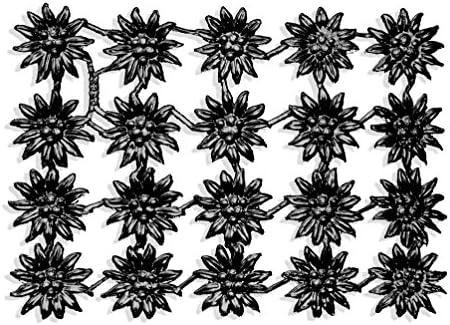 Kunze, de 20 peças, Dresden floresce Edelweiss, preto