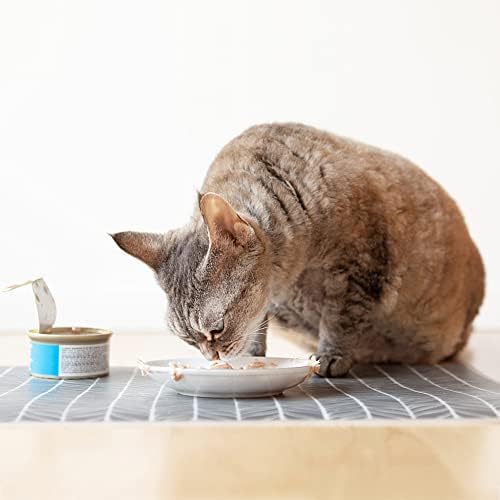 PAW Strip rasa comida de gato prato de gato cerâmica pratos para alimentos molhados tigela de gato liso para fadiga de bigode Bandeja