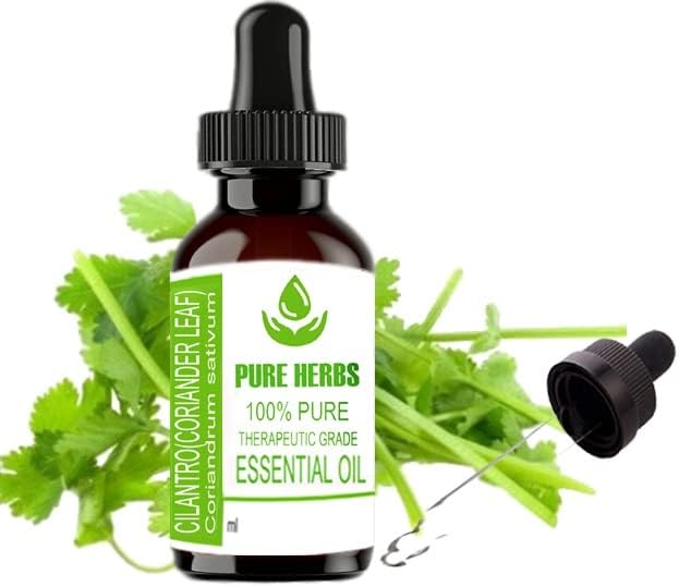 Ervas puras cilantro puro e natural terapêutico Óleo essencial de grau 30ml