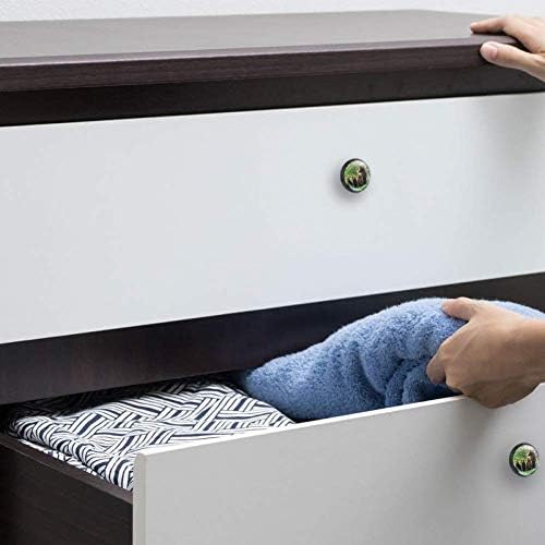 A gaveta da família ideal de urso puxa alças do armário da cabine da cabine da cabine da cabine com parafusos 4pcs