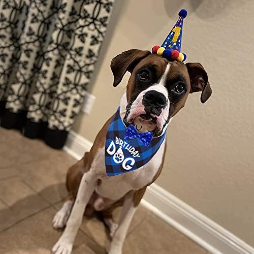 Ptdecor cachorro aniversário hat bandana, tamanho multi -oferecido para cães de garoto de festa de aniversário, hat de cães