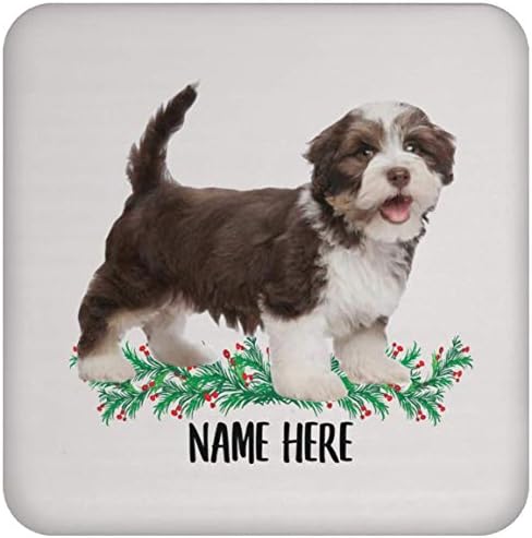 Cão engraçado Havanese Brown Nome personalizado Presente para mamãe natal 2023 Presentes montanhas -russas para bebidas
