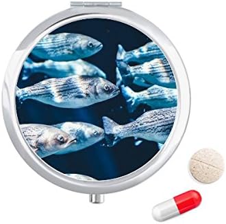 Organismo marinho de peixe Animal Casa tropical Caixa de bolso de bolso Caixa de armazenamento Distribuidor de contêiner