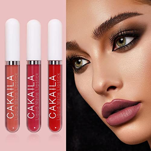 Conjunto de brilho labial 3 pcs nude fosco fosco de líquido líquido líquido pigmentado pigmentado há muito duradouro