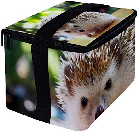 Lancheira à prova de vazamentos, caixa de bento isolada para homens mulheres adultas, balde de almoço reutilizável com hedgehog