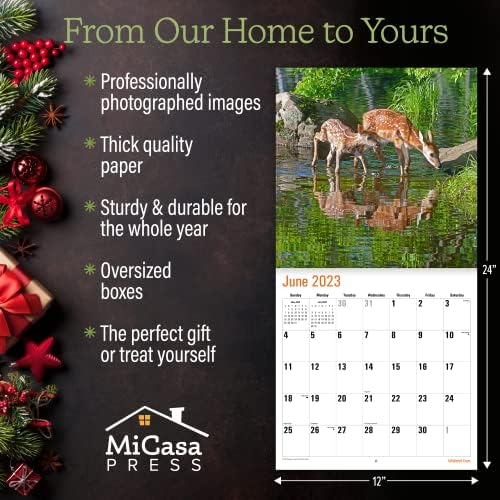 Micasa Whitetail Deer 2023 Handal Monthly Wall Calendário | 12 x 24 aberto | Papel grosso e resistente | Presente | Animais majestosos belezas