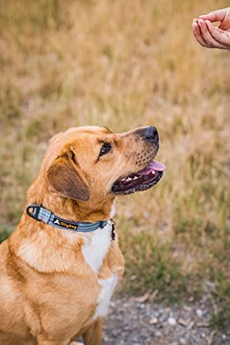 Colar de martingale de resgate ollydog para cães, colar de treinamento leve eco-reproduza para cães grandes, médios e pequenos