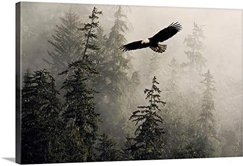 Águia careca Subindo através de Misty Tongass Canvas Arte da parede impressão, obra de arte de águia