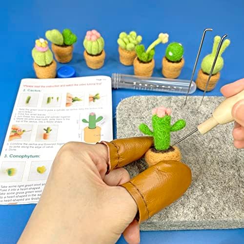 TRUSLIN - DIY SUCTULTE SUCCULENTS KIT CACTUS KIT ÓTIMO PARA ARTES E ASTIVOS FÁCIL PARA BELIGADOS adultos, faça 8 vasos de lã e