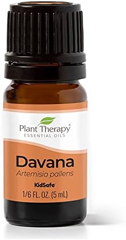 Terapia vegetal Davana Óleo essencial 5 ml puro, não diluído, grau terapêutico