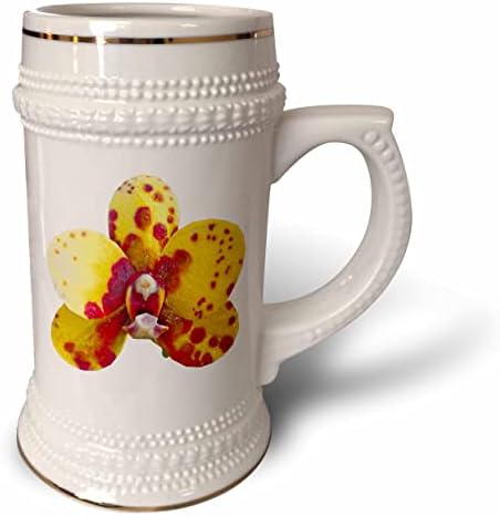 Flor gráfica de 3drose boehm - uma orquídea amarela e vermelha - 22oz de caneca